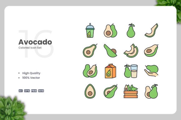 Avocado Color Icons Graphics Review