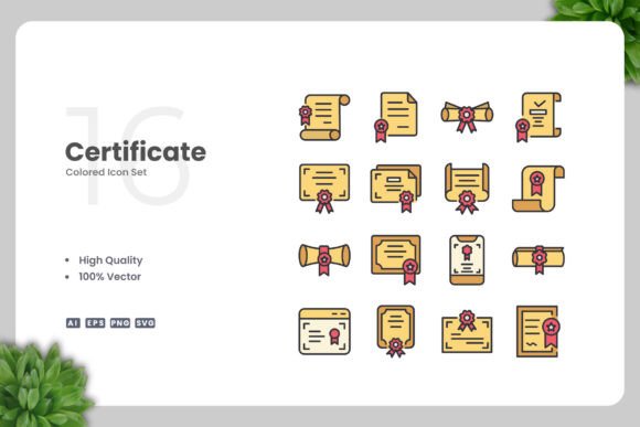 Certificate Color Icons Graphics Review