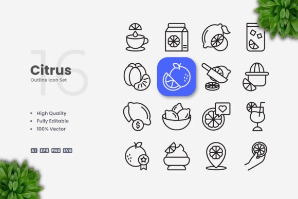 Citrus Icons: A Modern Graphic Design Asset for Content Creators