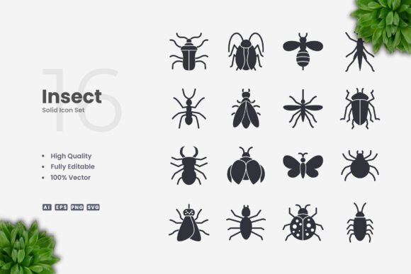 Insect Solid Icons Graphics Review